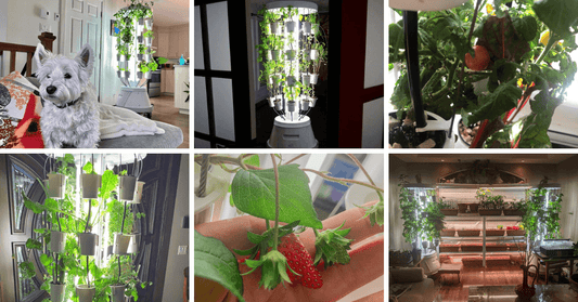 How using a Nutritower helps reduce your water consumption.