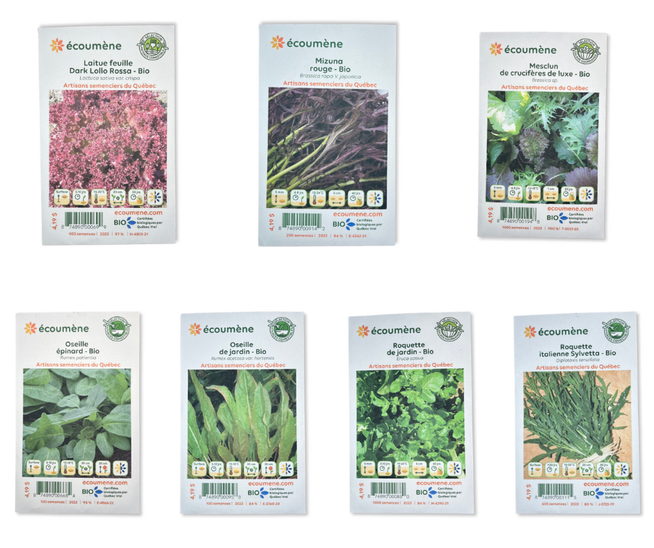 Lettuce seed pack