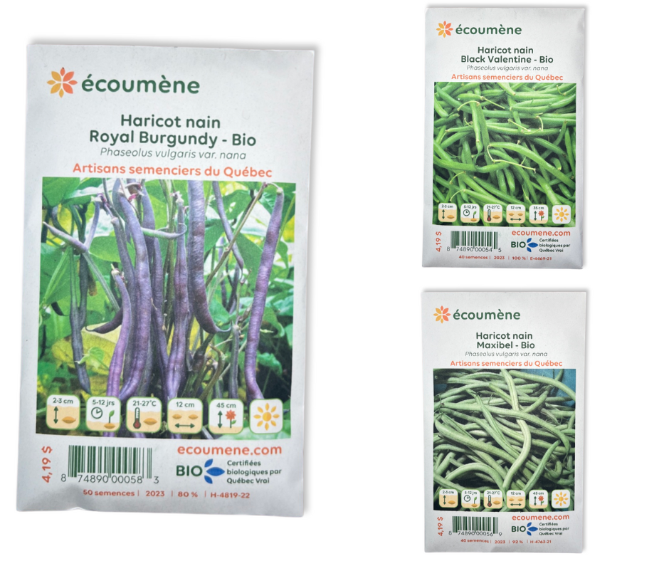 Bean Seed Pack