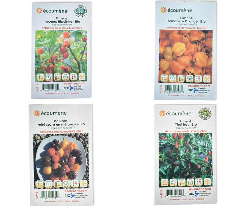 Pack de démarrage de semences de tomates et de basilic 