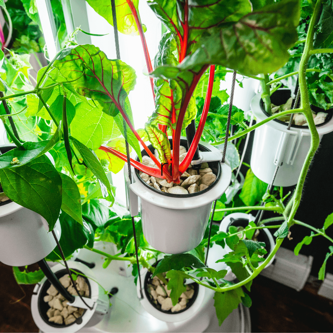 Nutritower Educational Package Gardening products, Tower Parts & Accessories nutritower