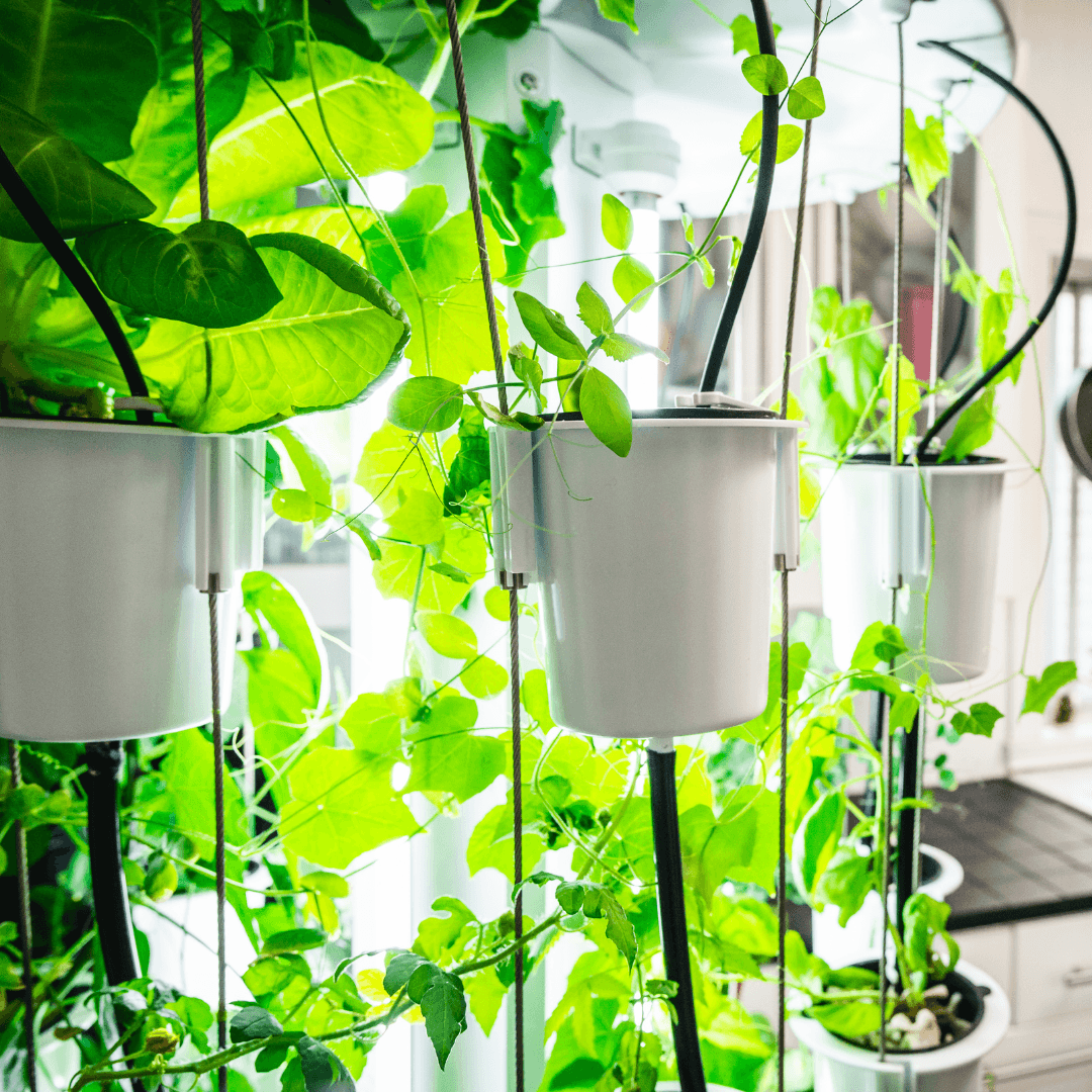 Nutritower Educational Package Gardening products, Tower Parts & Accessories nutritower