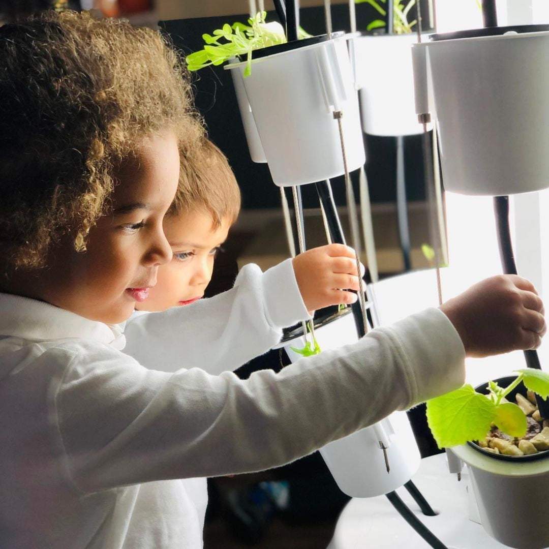 Nutritower Educational Package Gardening products, Tower Parts & Accessories nutritower