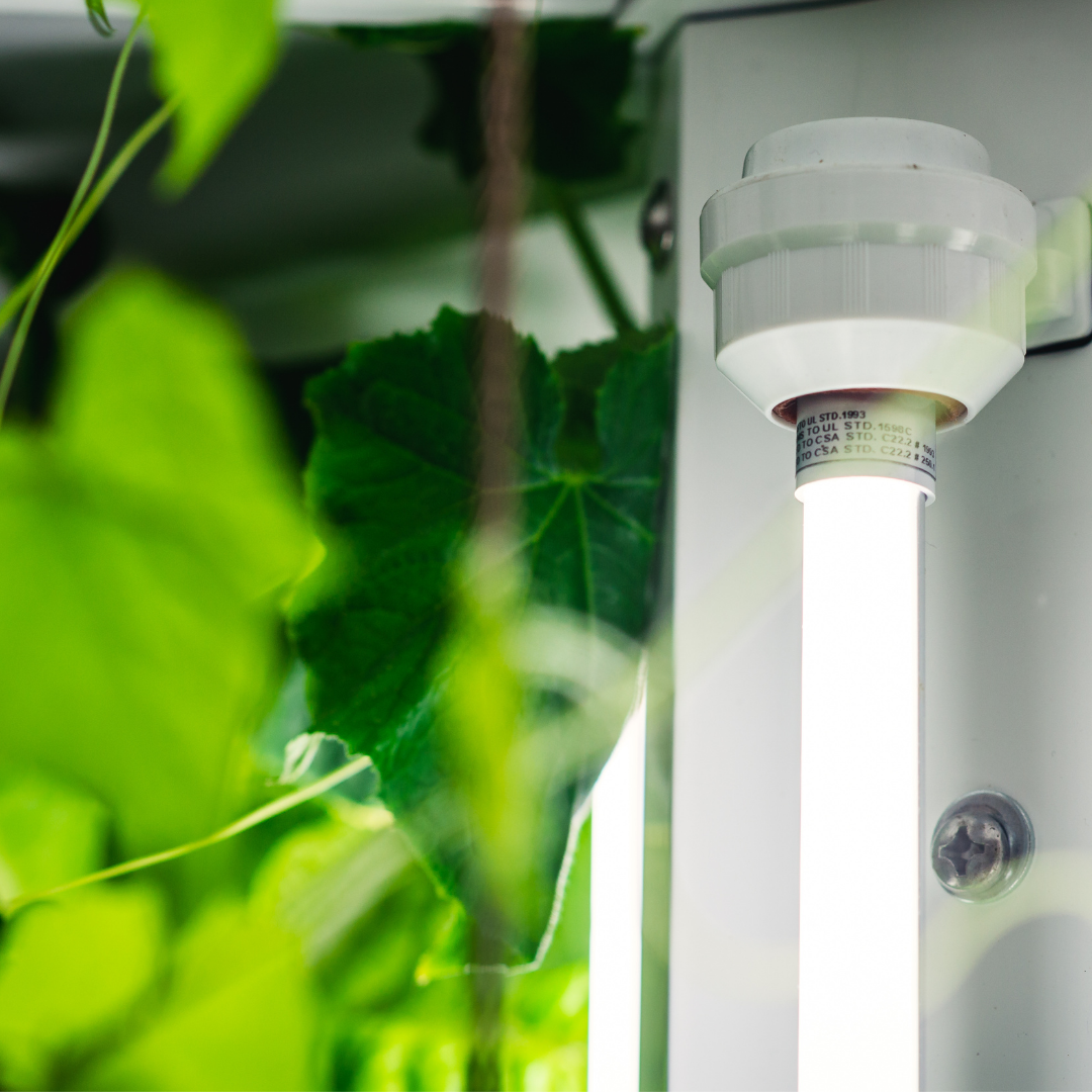 Lights for the Nutritower