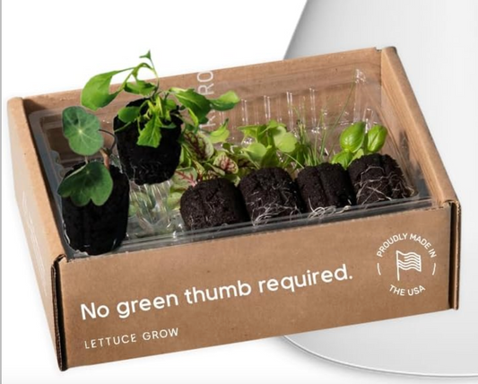 Nutritower 12 Seedlings / Month Plan
