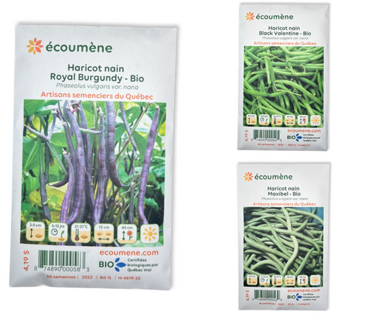 Bean Seed Pack