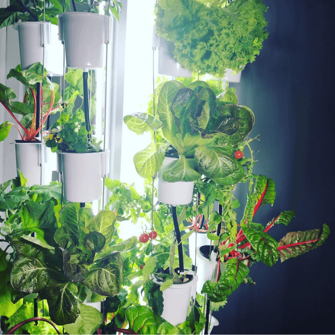 Nutritower Vertical Hydroponic Indoor Garden Gardening products, Tower Parts &amp; Accessories nutritower 
