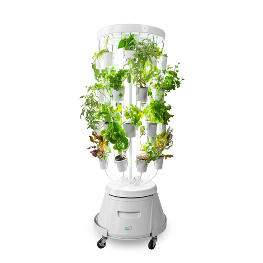 Nutritower Vertical Hydroponic garden tower