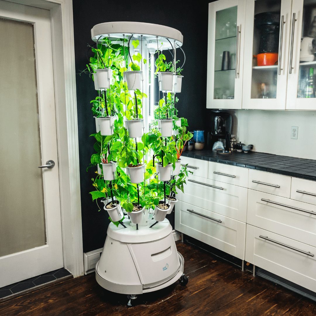 Nutritower Vertical Hydroponic garden tower